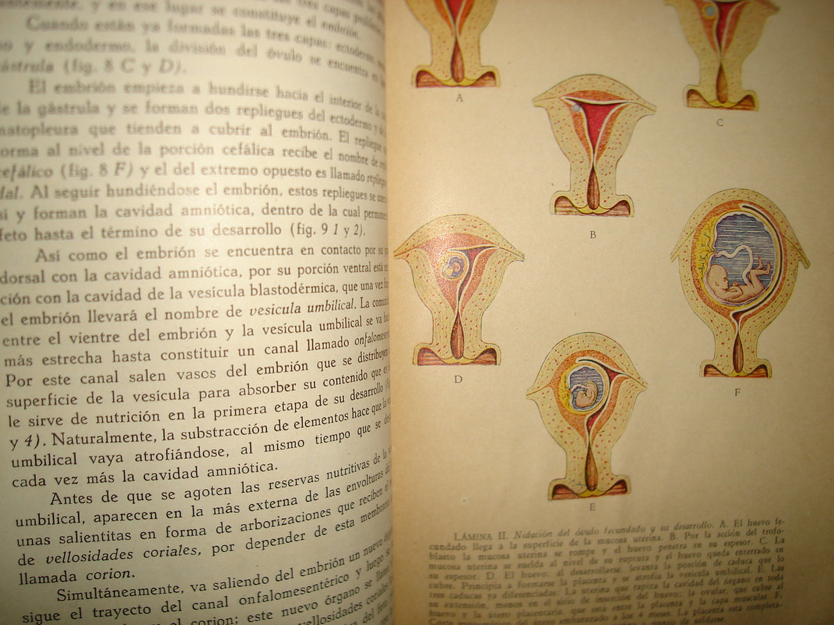 32- Manual De Obstetricia - José Rábago - 1965