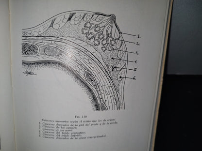 173- Manual De Cancerología Básica - Secretaría De Salubridad Y Asistencia - México 1963