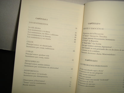 4- Niña Lastimada-Mujer Violenta - Oralia García Castilla