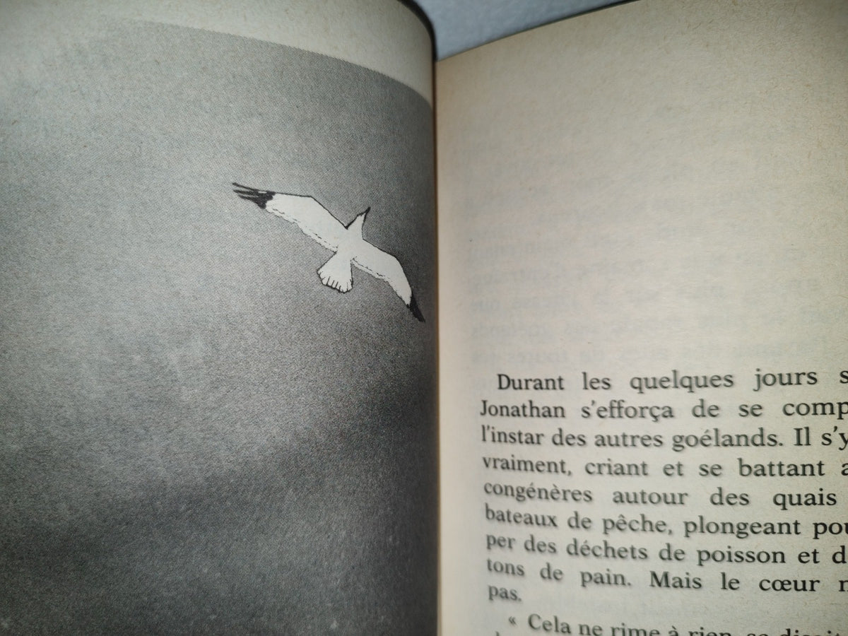 201- Jonathan Livingstone Le Goéland - Richard Bach - 1980