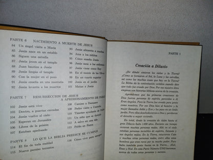 90- Mi Libro De Historias Bíblicas. Watchtower. Testigos De Jehova - Libro Grande - 1978