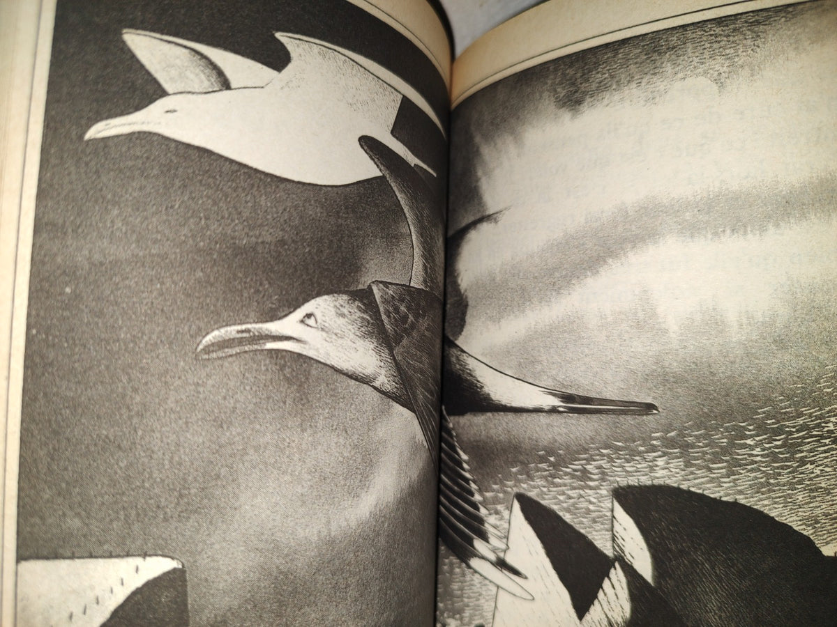 201- Jonathan Livingstone Le Goéland - Richard Bach - 1980