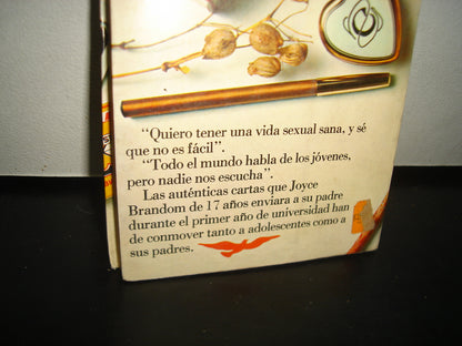 4- Querido Papá: Joyce Brandom - Pomaire. Colección Libre