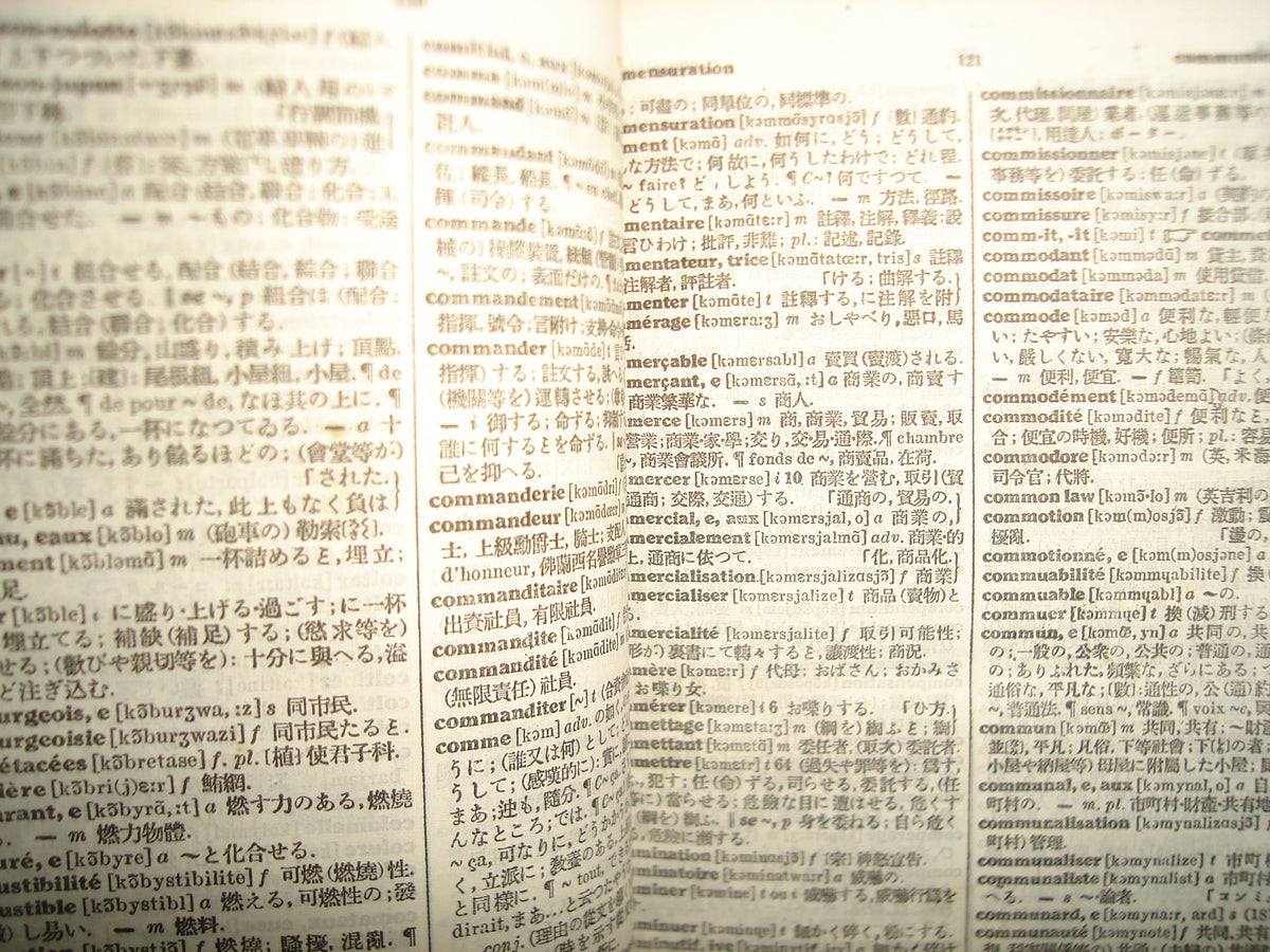 163- Dicicionario Práctico Francés-Japonés - Librairie Hakusuisha - 1971