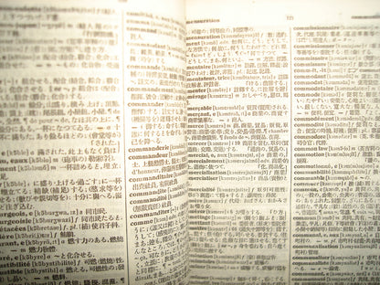 163- Dicicionario Práctico Francés-Japonés - Librairie Hakusuisha - 1971