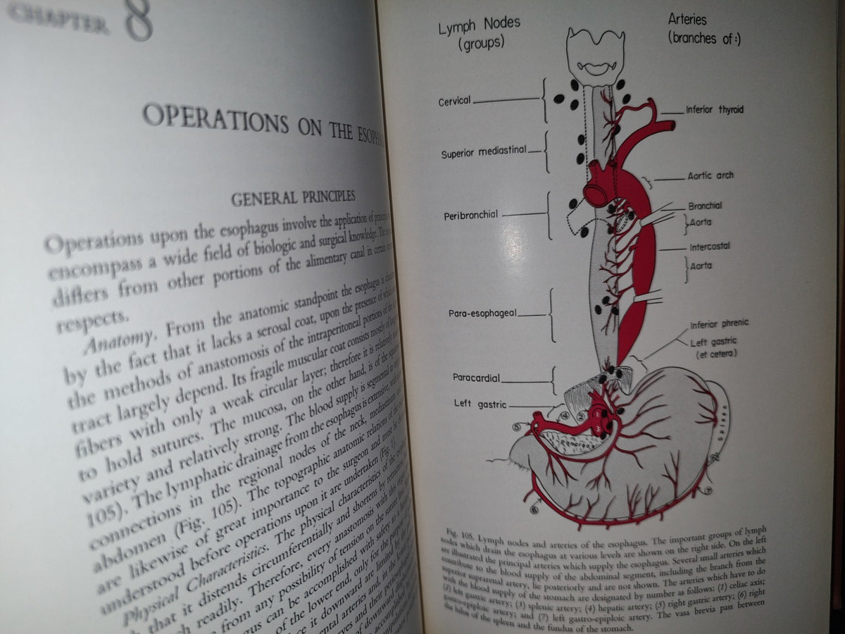 58- Inglés. Cirugía Del Tórax / Thoracic Surgery - Richard H. Sweet, M. D. - 1950
