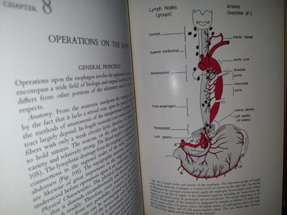 58- Inglés. Cirugía Del Tórax / Thoracic Surgery - Richard H. Sweet, M. D. - 1950