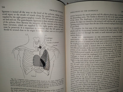 58- Inglés. Cirugía Del Tórax / Thoracic Surgery - Richard H. Sweet, M. D. - 1950