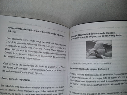 60- Las Denominaciones De Origen En México - José Guillermo García Murillo -Primera Edición 2009