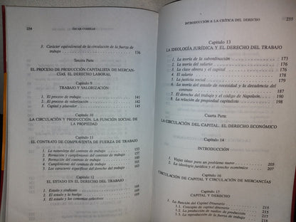 114- Introducción A La Crítica Del Derecho Moderno (Esbozo) - Óscar Correas