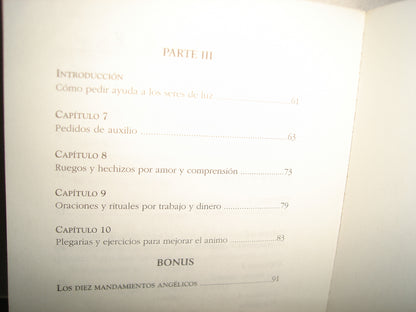 30- Cómo Trabajar Con Ángeles - Madame X