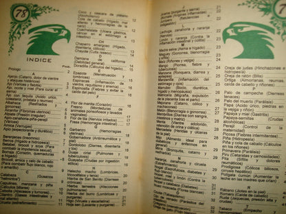 34- Selección De Recetas Medicinales De La Herbolaria Mexicana