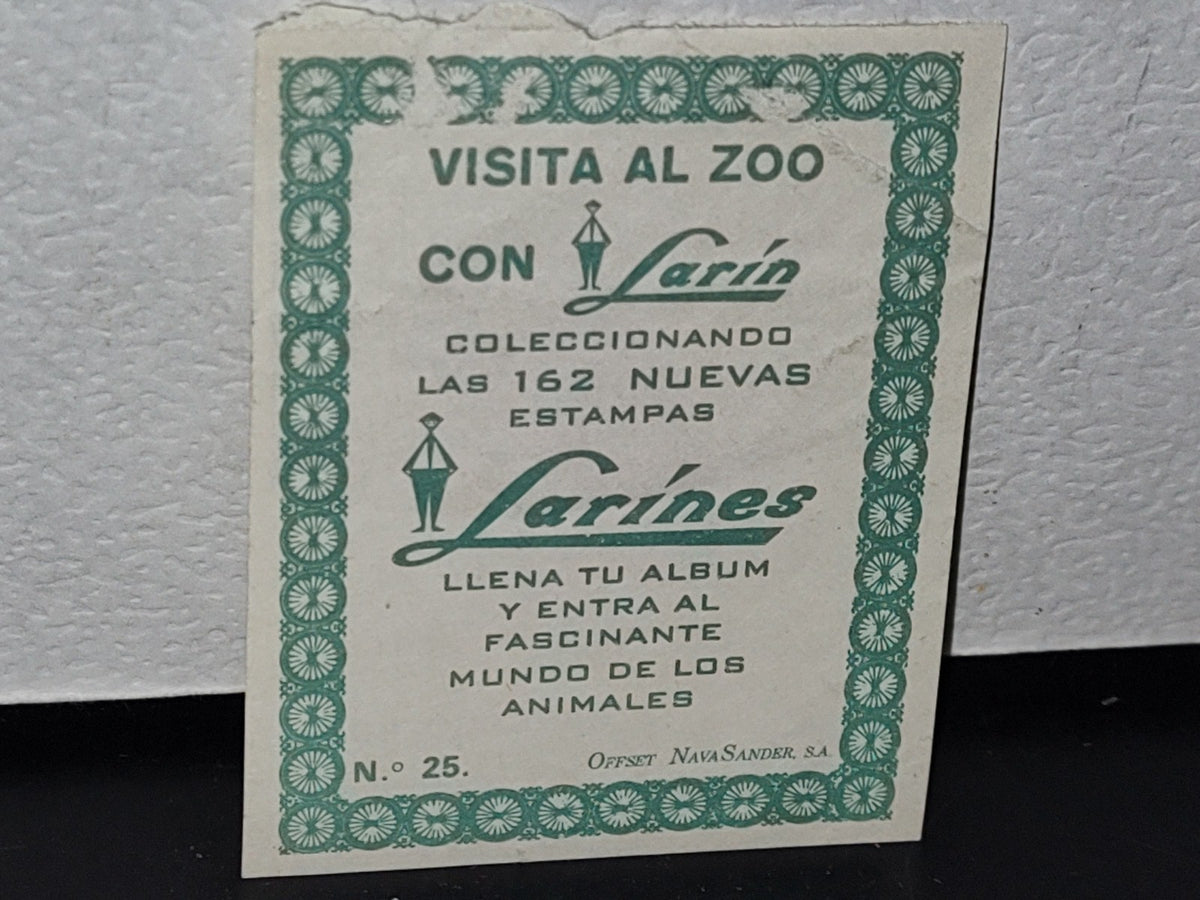 A10C1-2- Antigua Estampa De Álbum ”Visita El Zoo Con Tin Larín”. No. 25. Canguro Rojo - 60'S, 70's