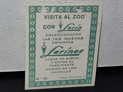 A10C1-2- Antigua Estampa De Álbum ”Visita El Zoo Con Tin Larín”. No. 25. Canguro Rojo - 60'S, 70's
