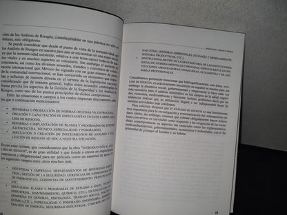 89- Introducción Al Análisis De Riesgos - Jesús G. Martínez Ponce De León - 2002