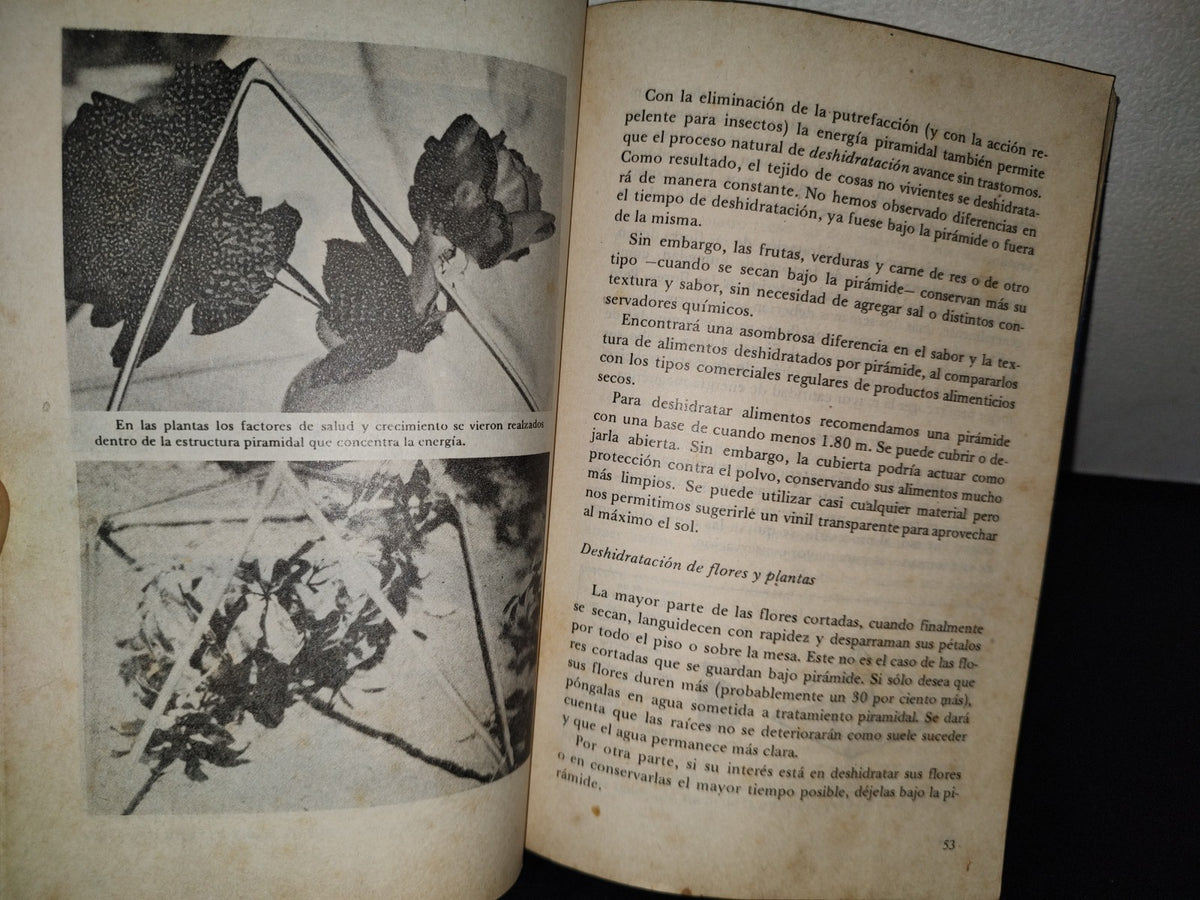 68- Manual De Energía Piramidal. Usos Y Aplicaciones - Bill Kerrell Y Kathy Goggin