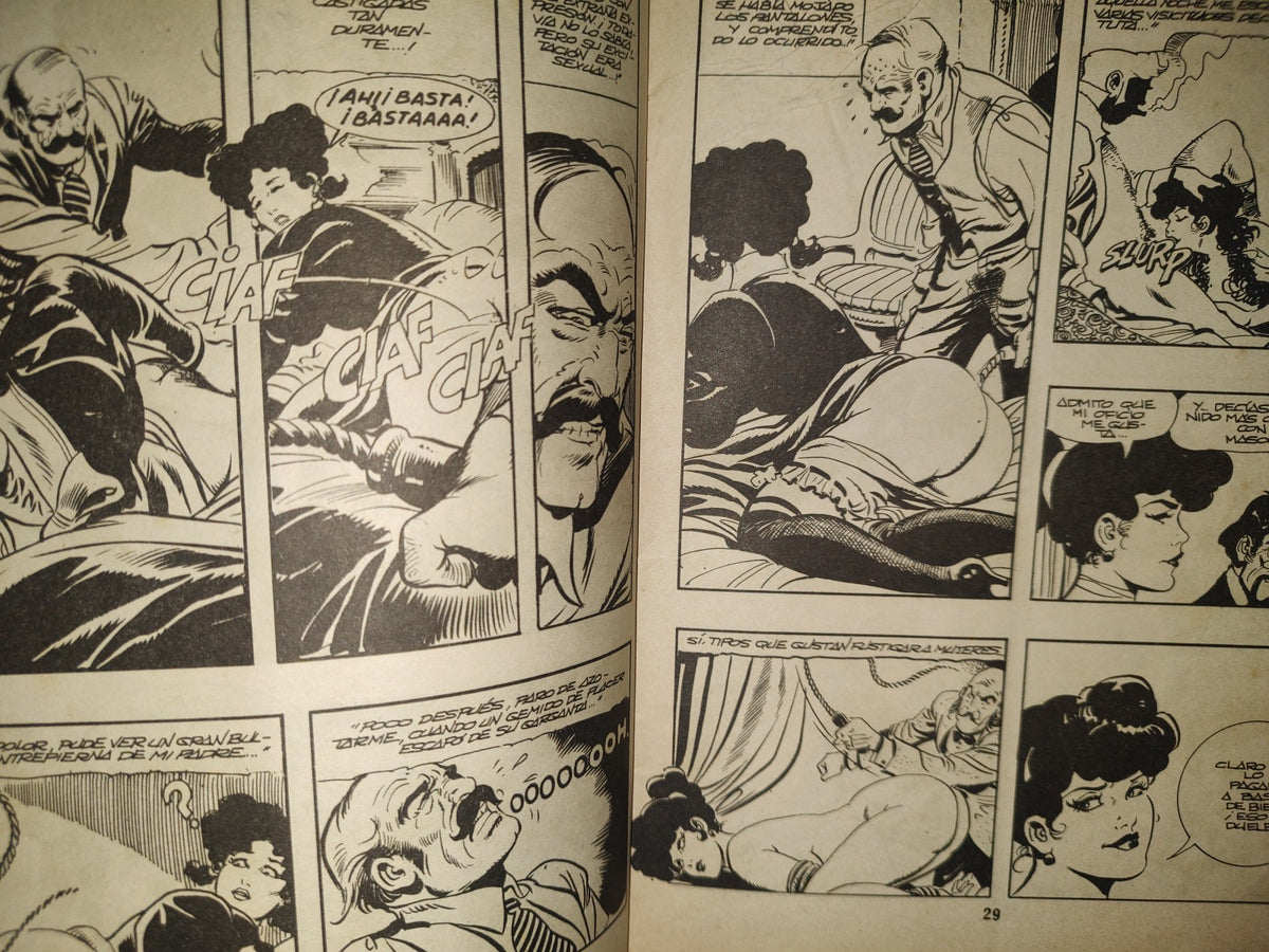 123- Relatos Gráficos Para Adultos # 19. Las Profesionales. La Honorable Fulana. Ediciones Zinco 70'S