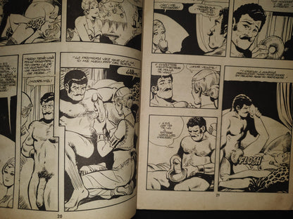 123- Relatos Gráficos Para Adultos # 19. Las Profesionales. La Honorable Fulana. Ediciones Zinco 70'S