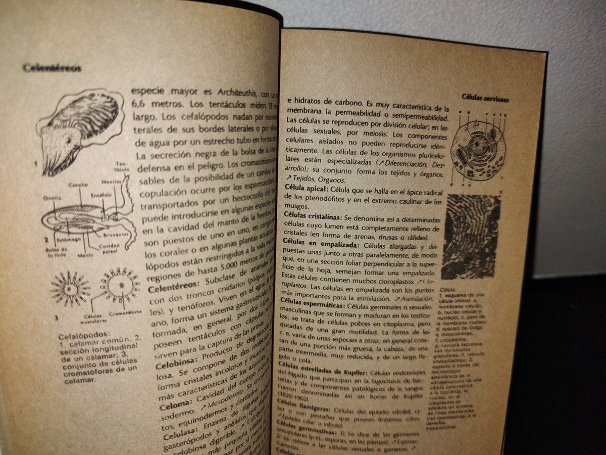 50- Diccionario De Biología. Ediplesa