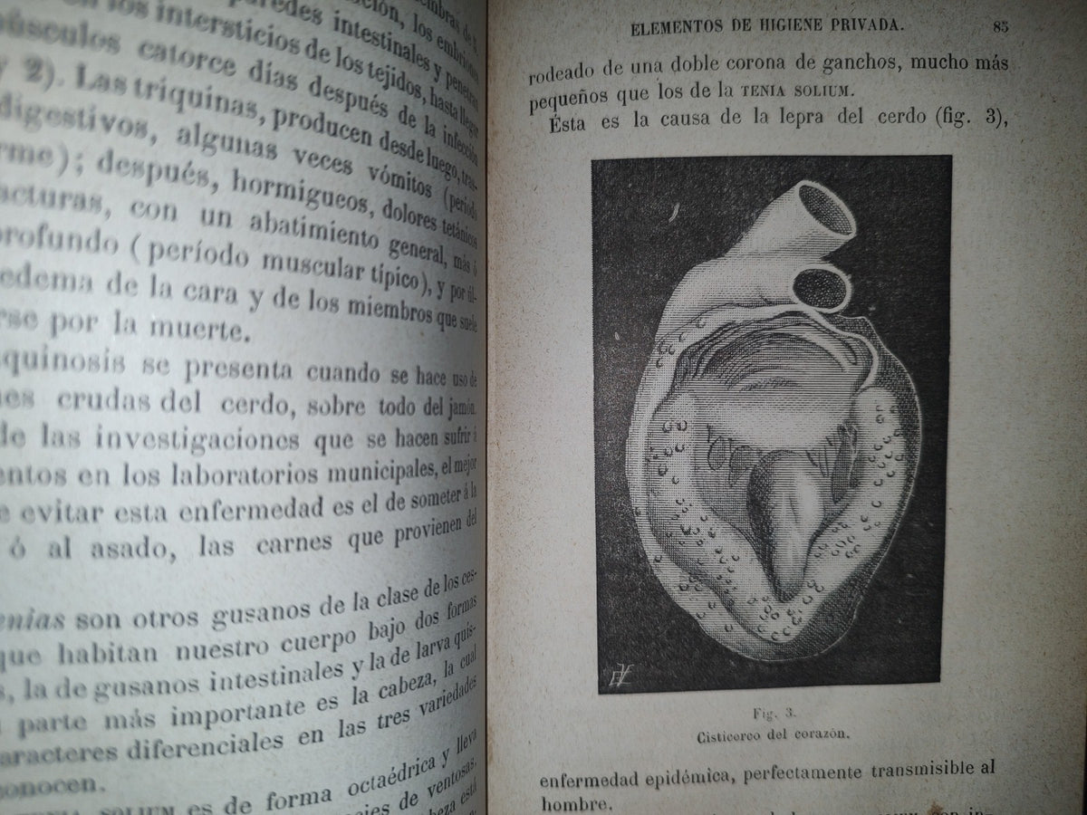 132- Elementos De Higiene Privada - J. Carvallo - París. Garnier Hermanos, Libreros-Editores 1895