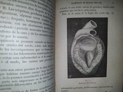 132- Elementos De Higiene Privada - J. Carvallo - París. Garnier Hermanos, Libreros-Editores 1895