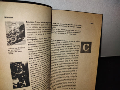 50- Diccionario De Biología. Ediplesa