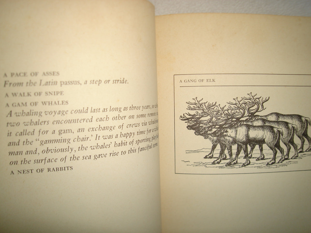 167- An Exaltation Of Larks Or, The Venerable Game - James Lipton - 1977