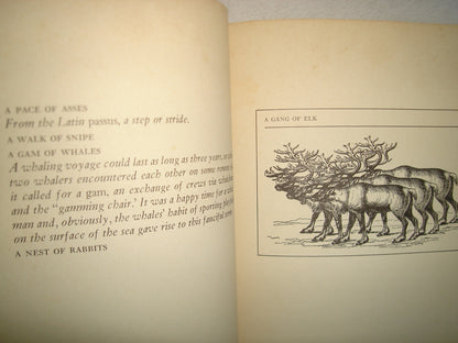 167- An Exaltation Of Larks Or, The Venerable Game - James Lipton - 1977