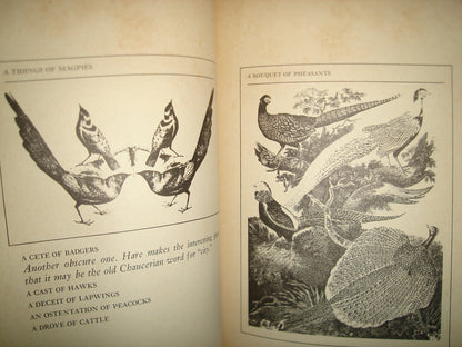 167- An Exaltation Of Larks Or, The Venerable Game - James Lipton - 1977