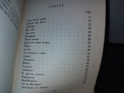 114- ¿Dónde Está Dios? Poemas Filosóficos De Rodolfo Licona Salazar - México, D. F. 1968