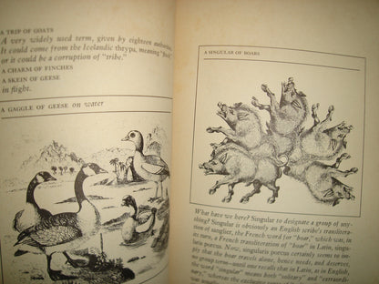 167- An Exaltation Of Larks Or, The Venerable Game - James Lipton - 1977