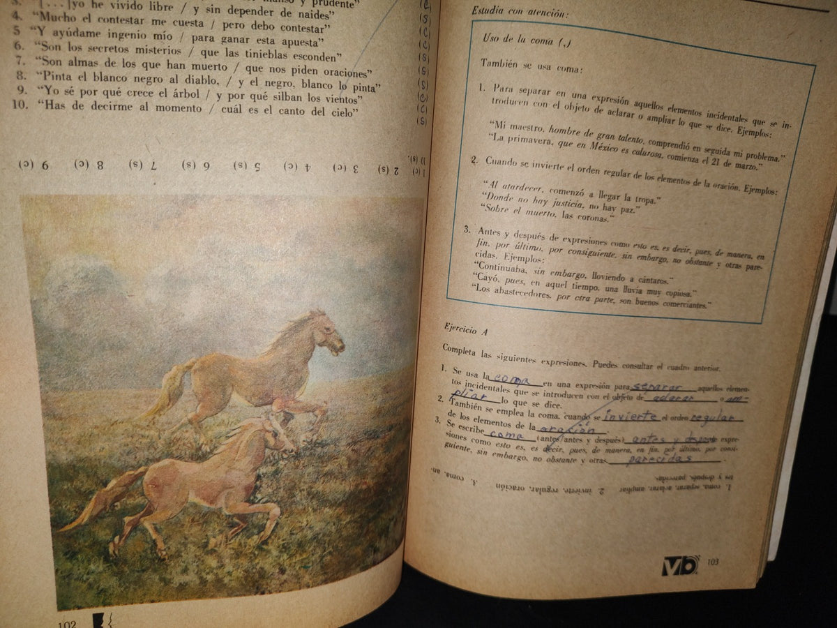 211- Español. Primera Parte. Educación Media Básica. Tercer Grado Sep - 1989