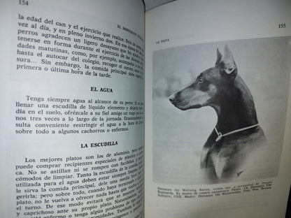 166- Todo Sobre El Dobermann Pinscher - I. Z. Spirer, E. Miller - 1987