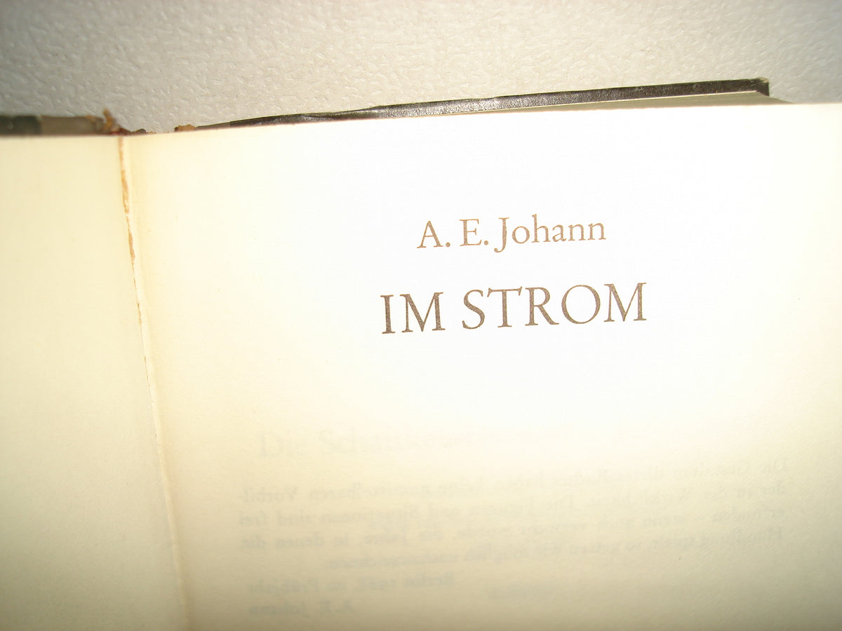 163- Alemán - Im Strom - A. E. Johann