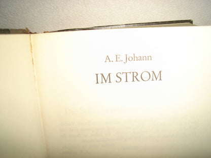 163- Alemán - Im Strom - A. E. Johann