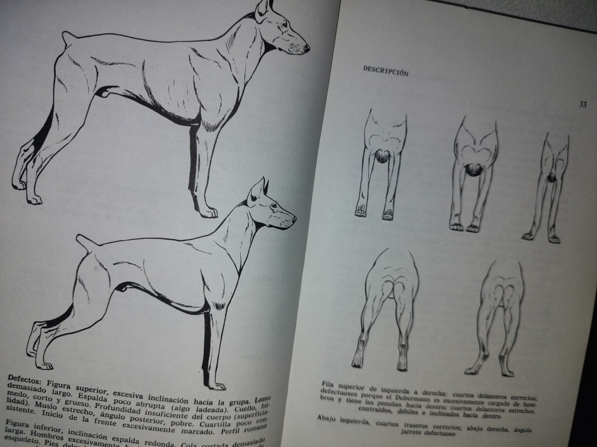 166- Todo Sobre El Dobermann Pinscher - I. Z. Spirer, E. Miller - 1987