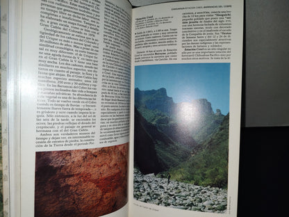 192- Guías Promexa. Chihuahua, Coahuila Y Durango. Norte - México, 1984