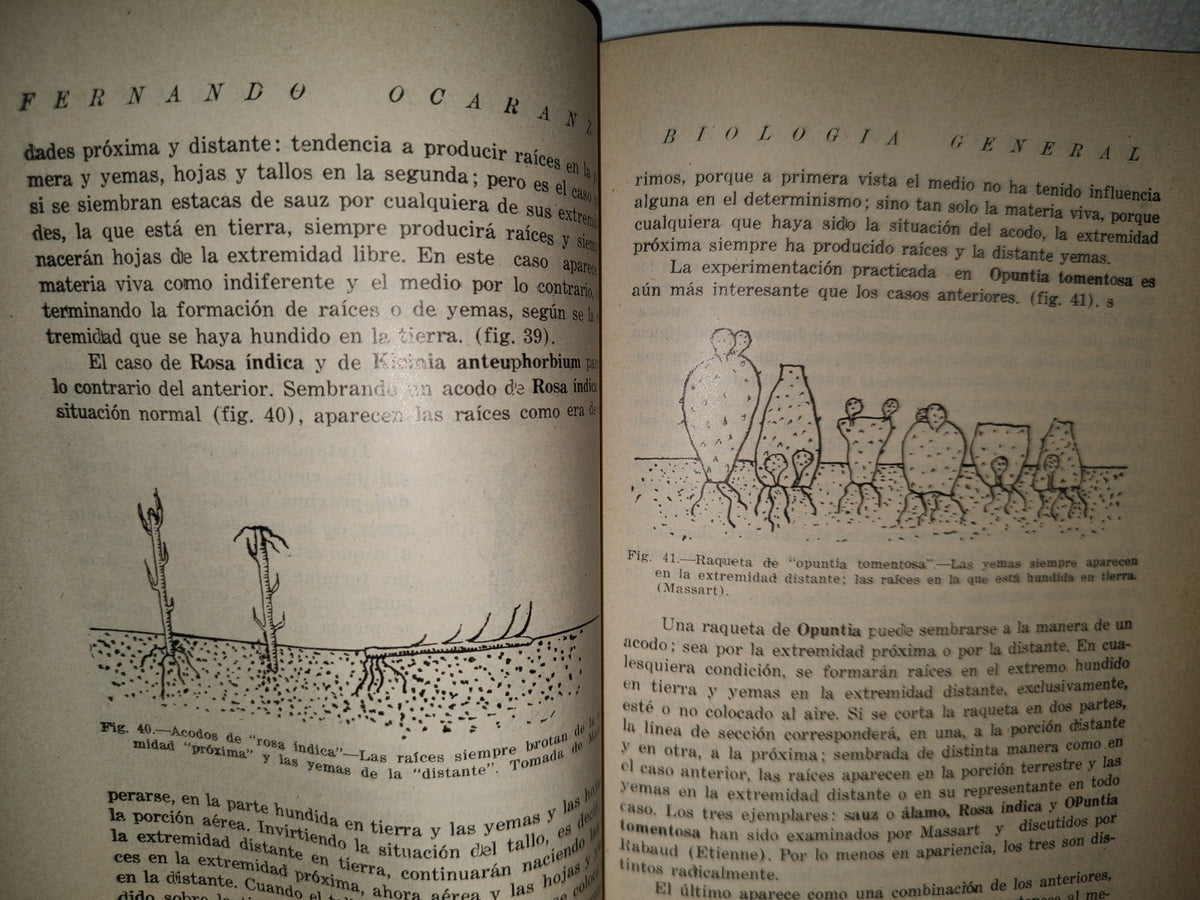 91- Lecciones De Biología General - Fernando Ocaranza - Segunda Edición, México 1931