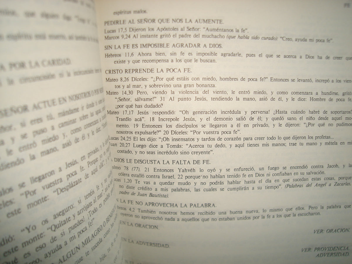 160- Biblia Temática - Luis Godtsseels, Sj. - 1981