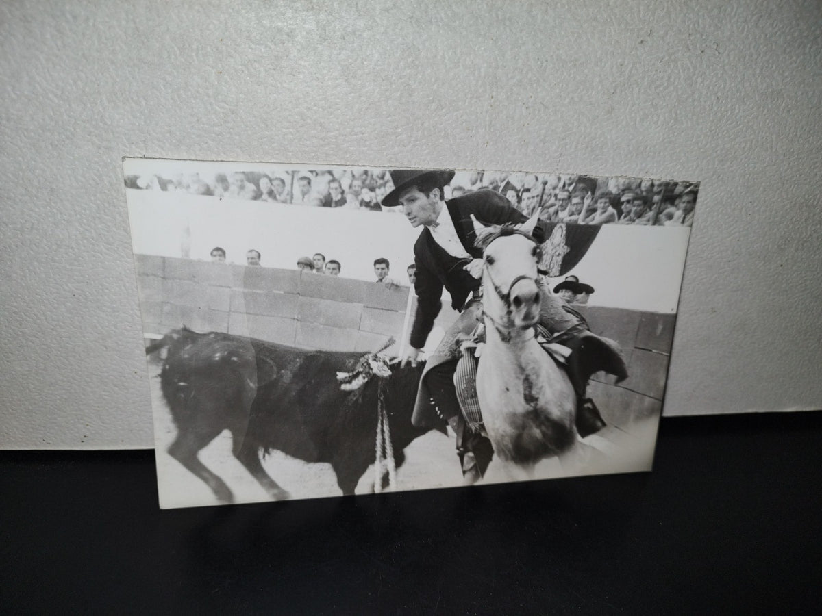 A10C1-2- Fotografía Rejoneador Ángel Peralta En Plena Lidia Con Toro Furioso - 60'S - 70'S