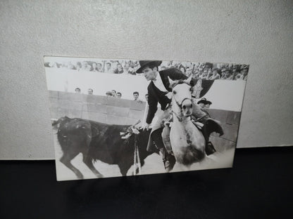 A10C1-2- Fotografía Rejoneador Ángel Peralta En Plena Lidia Con Toro Furioso - 60'S - 70'S