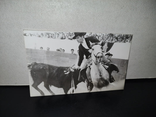 A10C1-2- Fotografía Rejoneador Ángel Peralta En Plena Lidia Con Toro Furioso - 60'S - 70'S