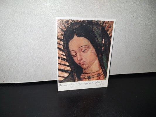A10C1-2- Estampa Imagen Virgen De Guadalupe - 90's