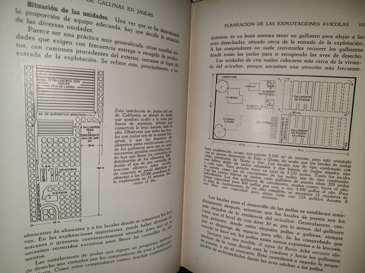 58- Cría De Gallinas En Jalulas - Roland C. Hartman - 1957