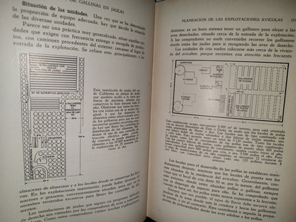58- Cría De Gallinas En Jalulas - Roland C. Hartman - 1957