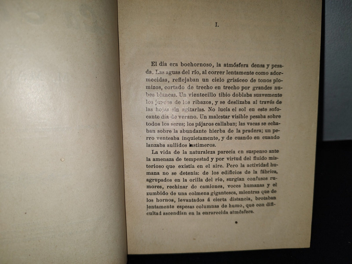 63- La Florida - M. Maryan. Biblioteca De ”La Moda Elegante” - 1907