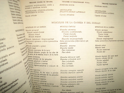 38- Terminología Anatómica Internacional, Universidad Nacional Autónoma De México