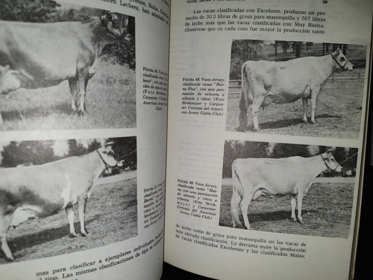 57- Vacas, Leche Y Sus Derivados - Diggins & Bundy - 1979