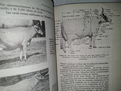 57- Vacas, Leche Y Sus Derivados - Diggins & Bundy - 1979