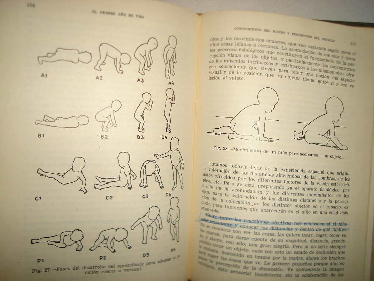 23- Psicología Evolutiva - Agostino Gemelli